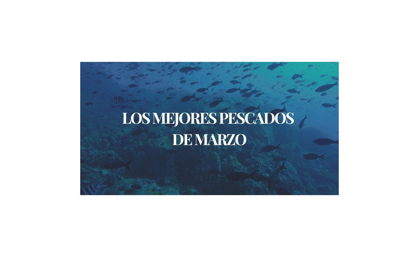 Los mejores pescados de temporada en marzo: frescura y sabor en su mejor momento