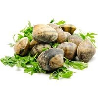 Almejas
