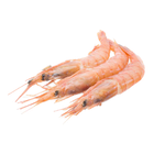 Gambas
